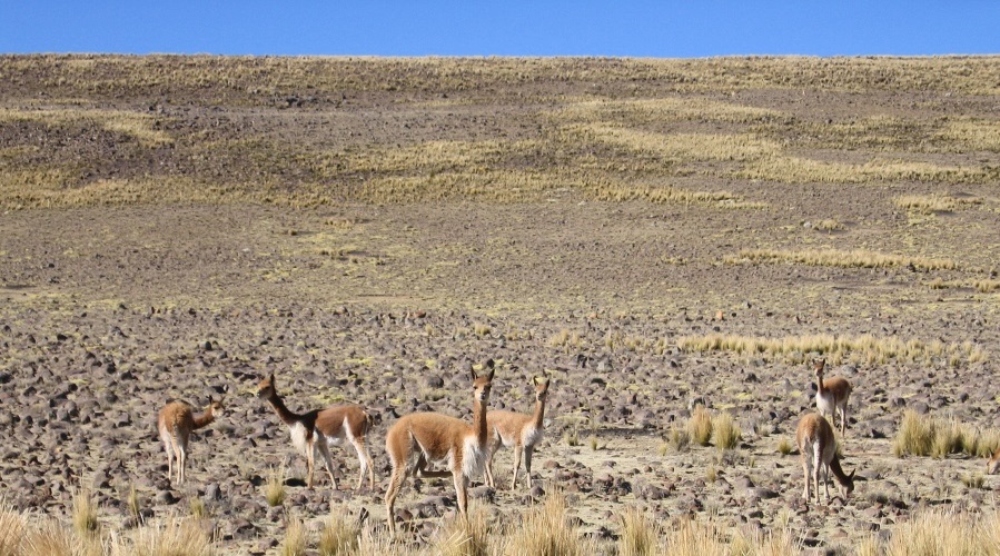 Pérou & Bolivie - Les Andes à vélo