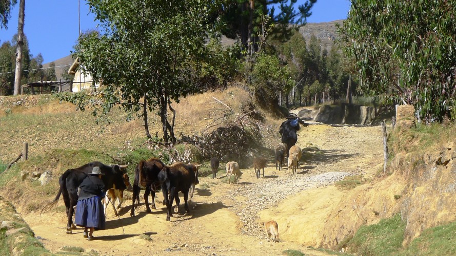 Tahuantinsuyu - Sur la route des Incas