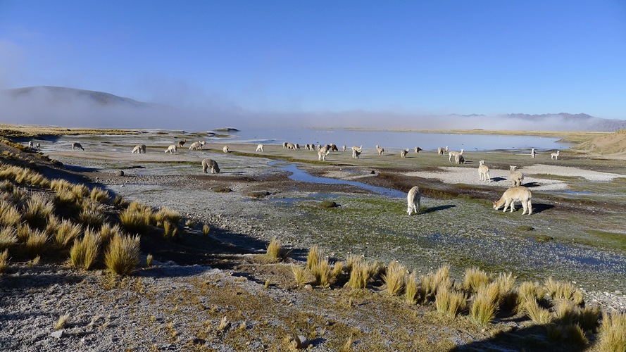 Tahuantinsuyu - Sur la route des Incas