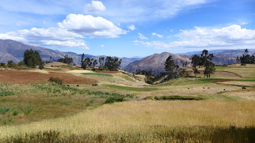 Paysage de la campagne du centre Pérou