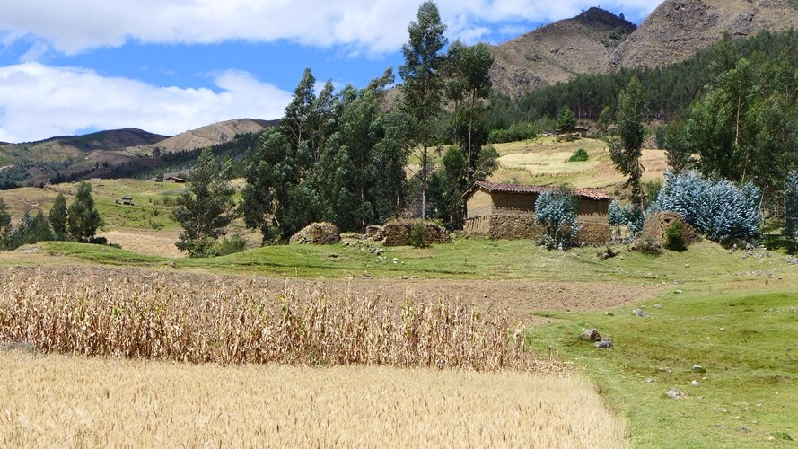 Paysage de la campagne du centre Pérou