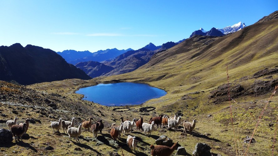 Lagune Queuñacocha