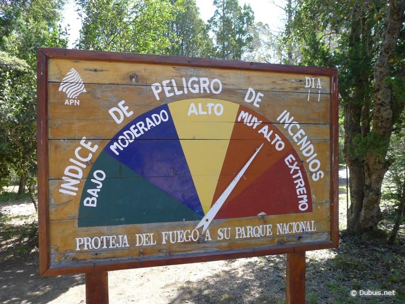Patagonie - Parc National Lanín