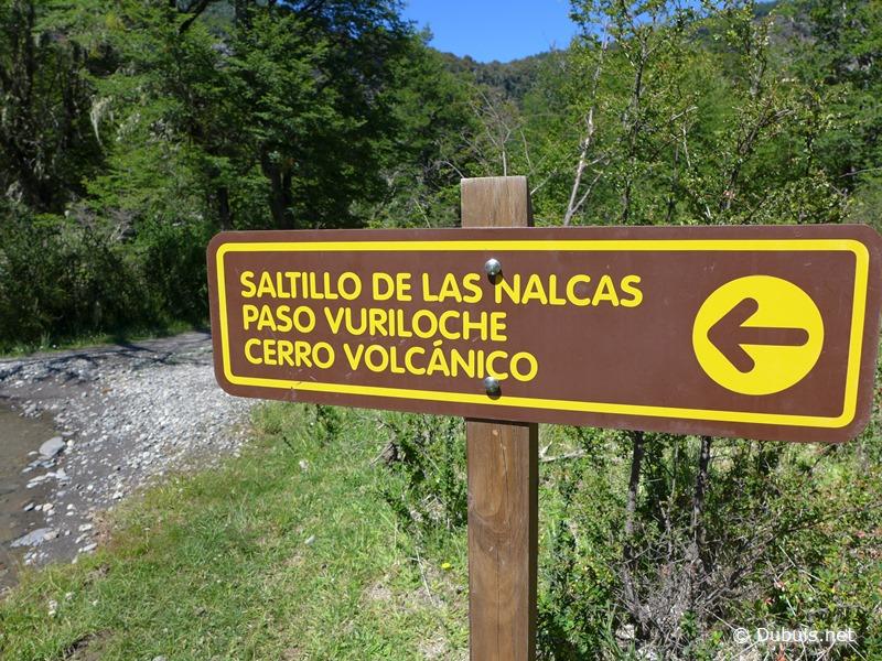 Patagonie - Parc National Vicente Pérez Rosales