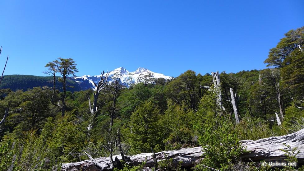 Patagonie - Parc National Vicente Pérez Rosales